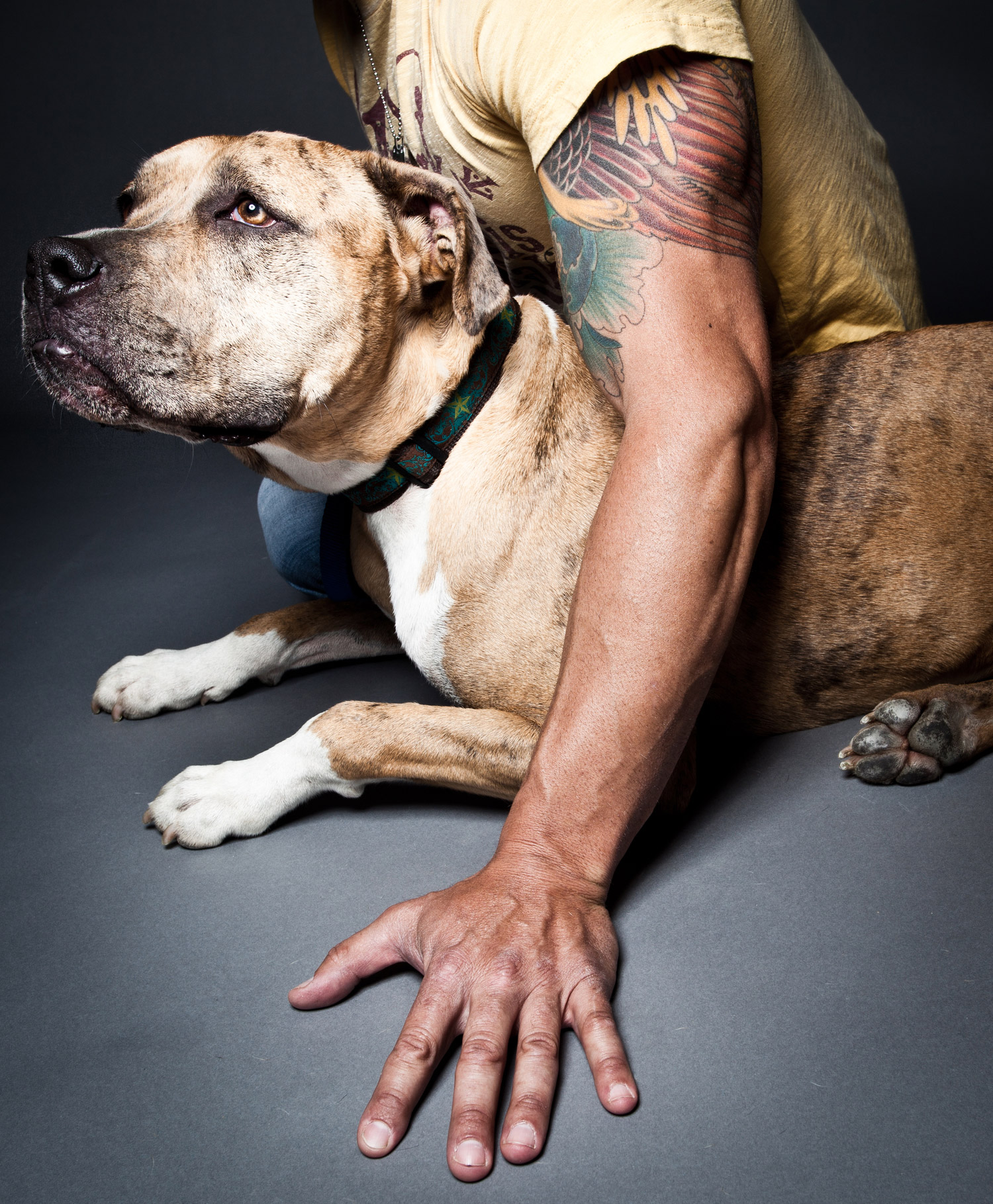 lorem ipsum dolor sit