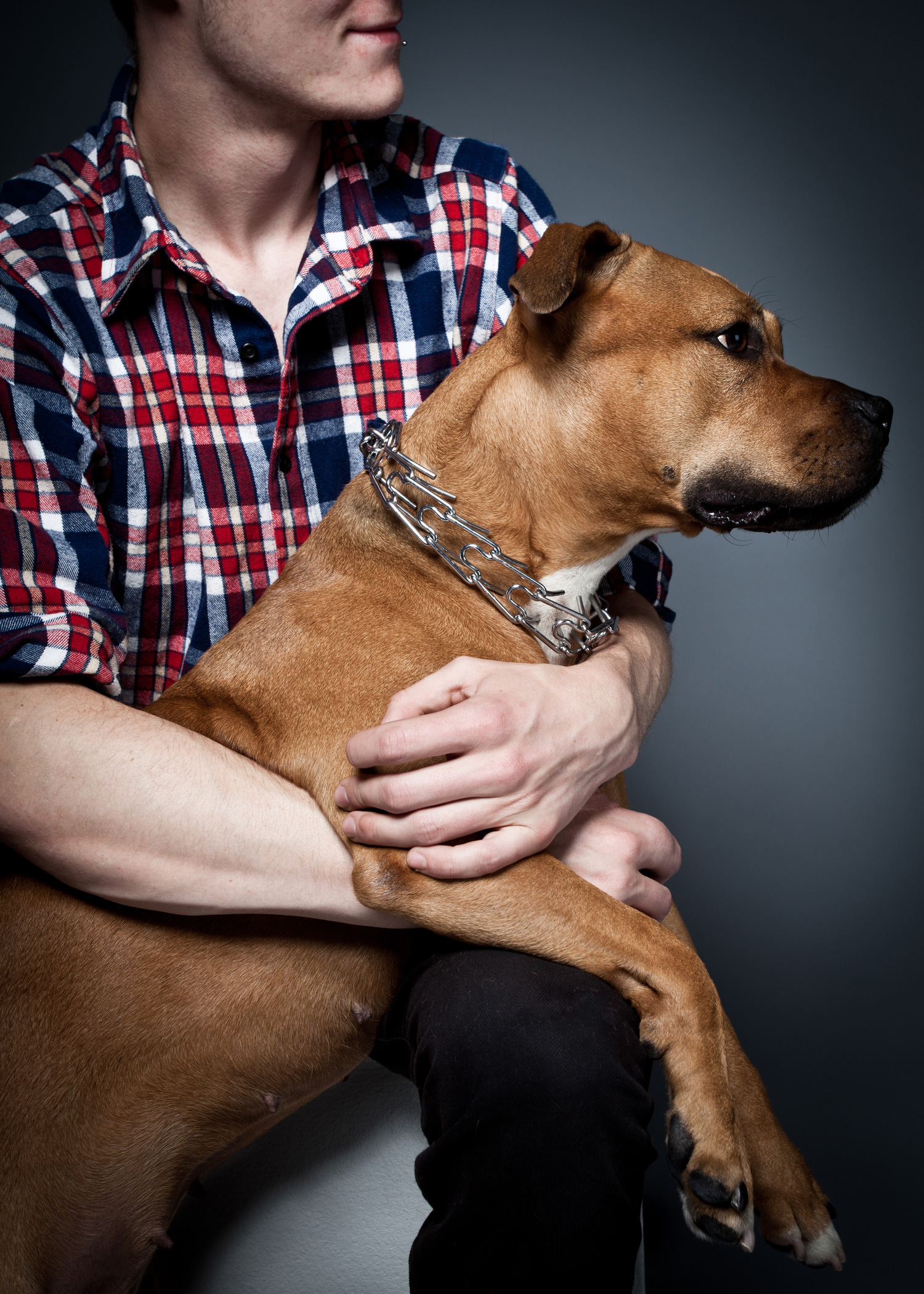 lorem ipsum dolor sit