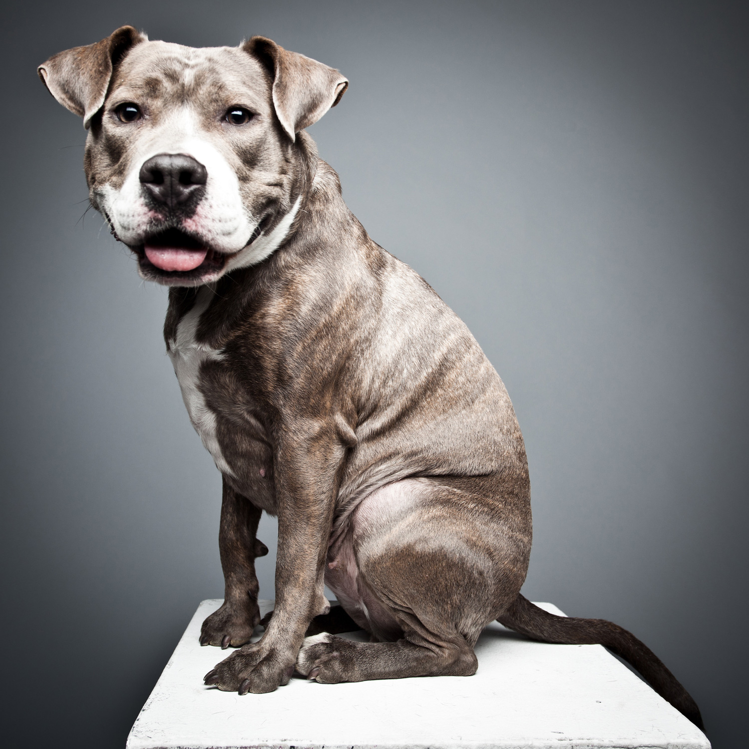 lorem ipsum dolor sit