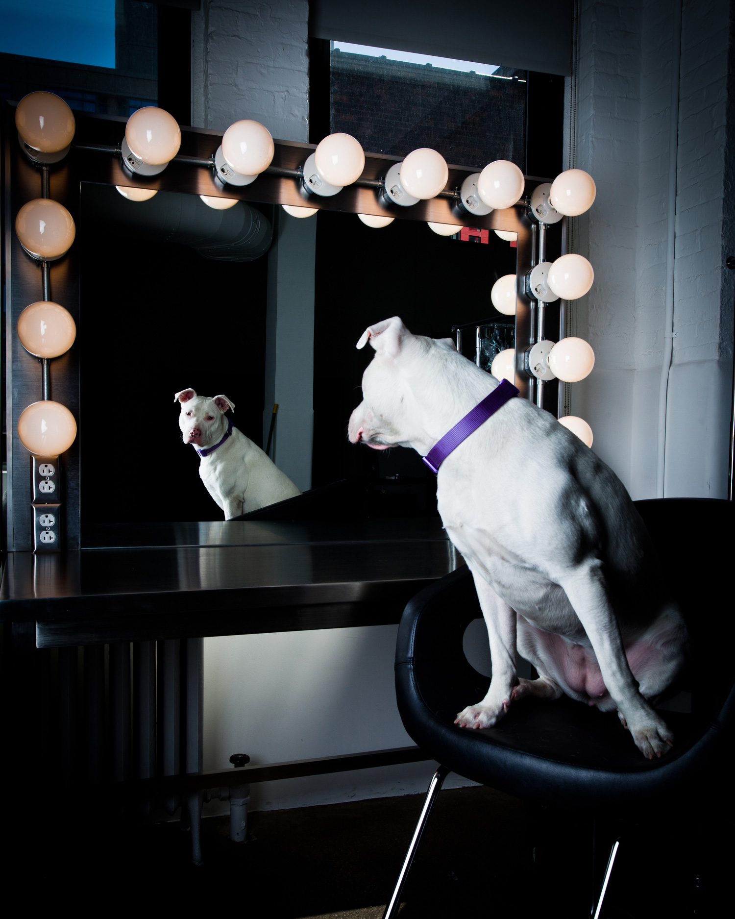 lorem ipsum dolor sit