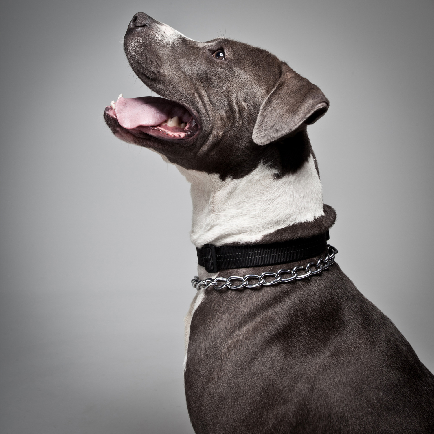 lorem ipsum dolor sit