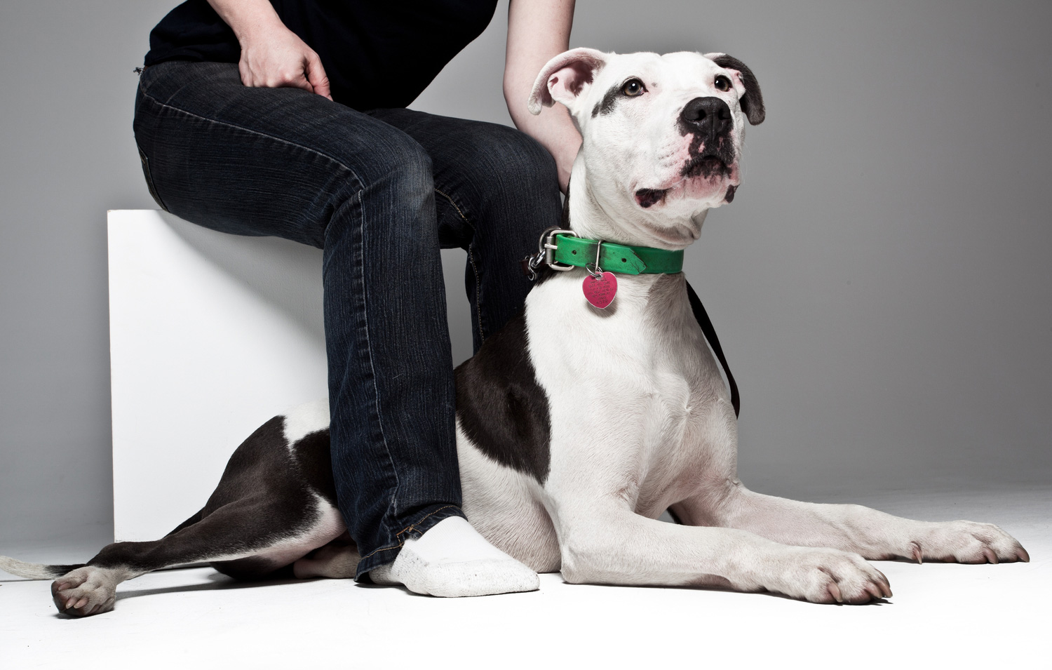 lorem ipsum dolor sit